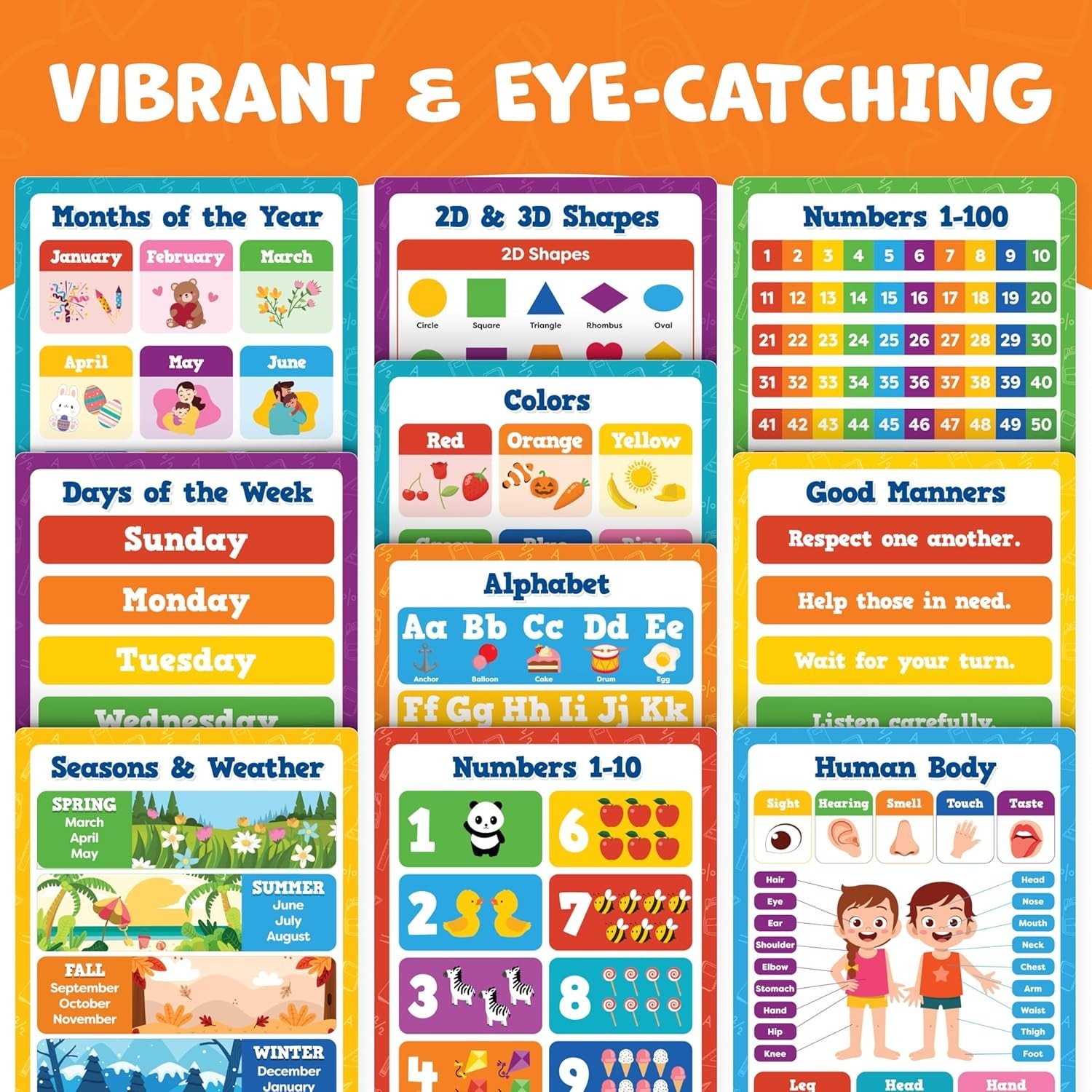 Educational Posters Set 20pcs 16×11 Inches PVC Classroom Learning Supplies
