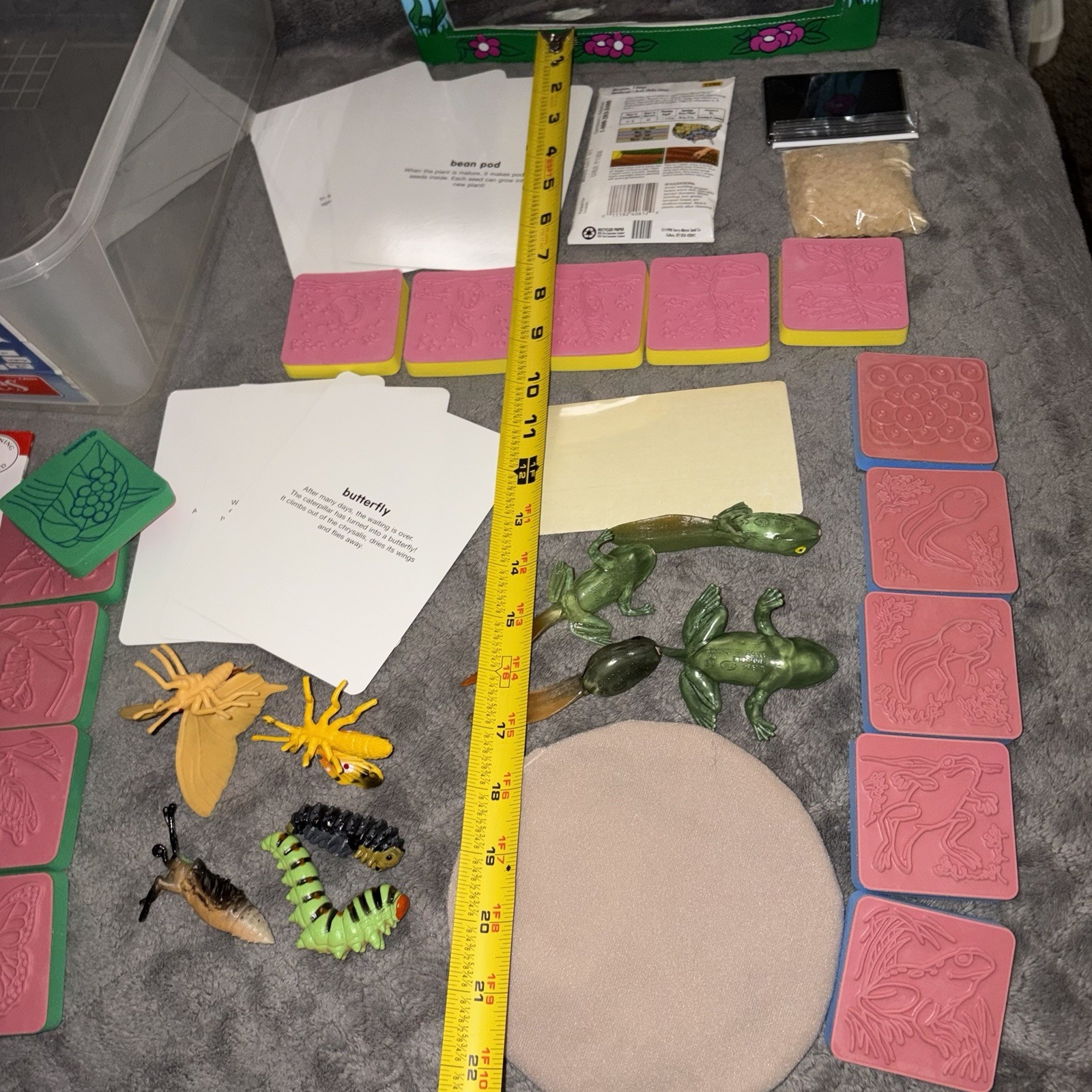 Lakeshore Life Cycles Biology Theme Box Butterfly Frog Greenhouse USA Animals