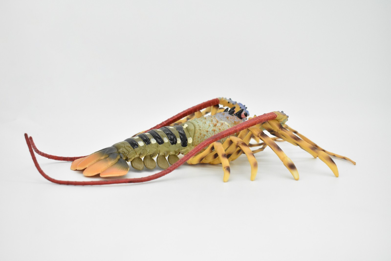 Lobster Toy, Pacific, Australian, Educational Realistic Rubber Model, Figure 12″