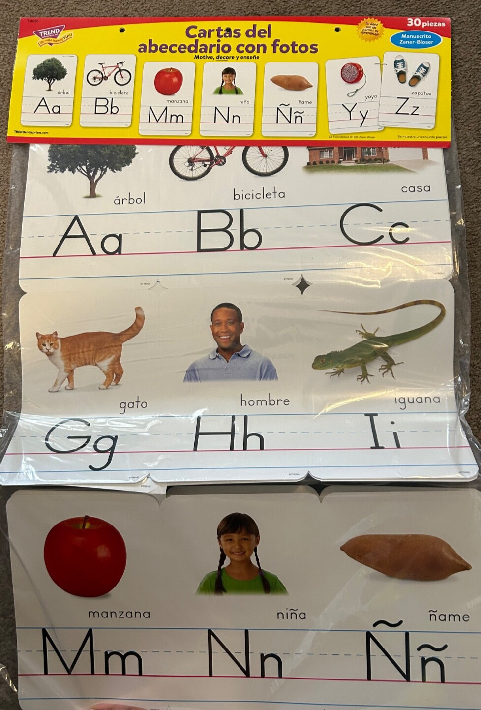 Trend Spanish Alphabet Poster Cards