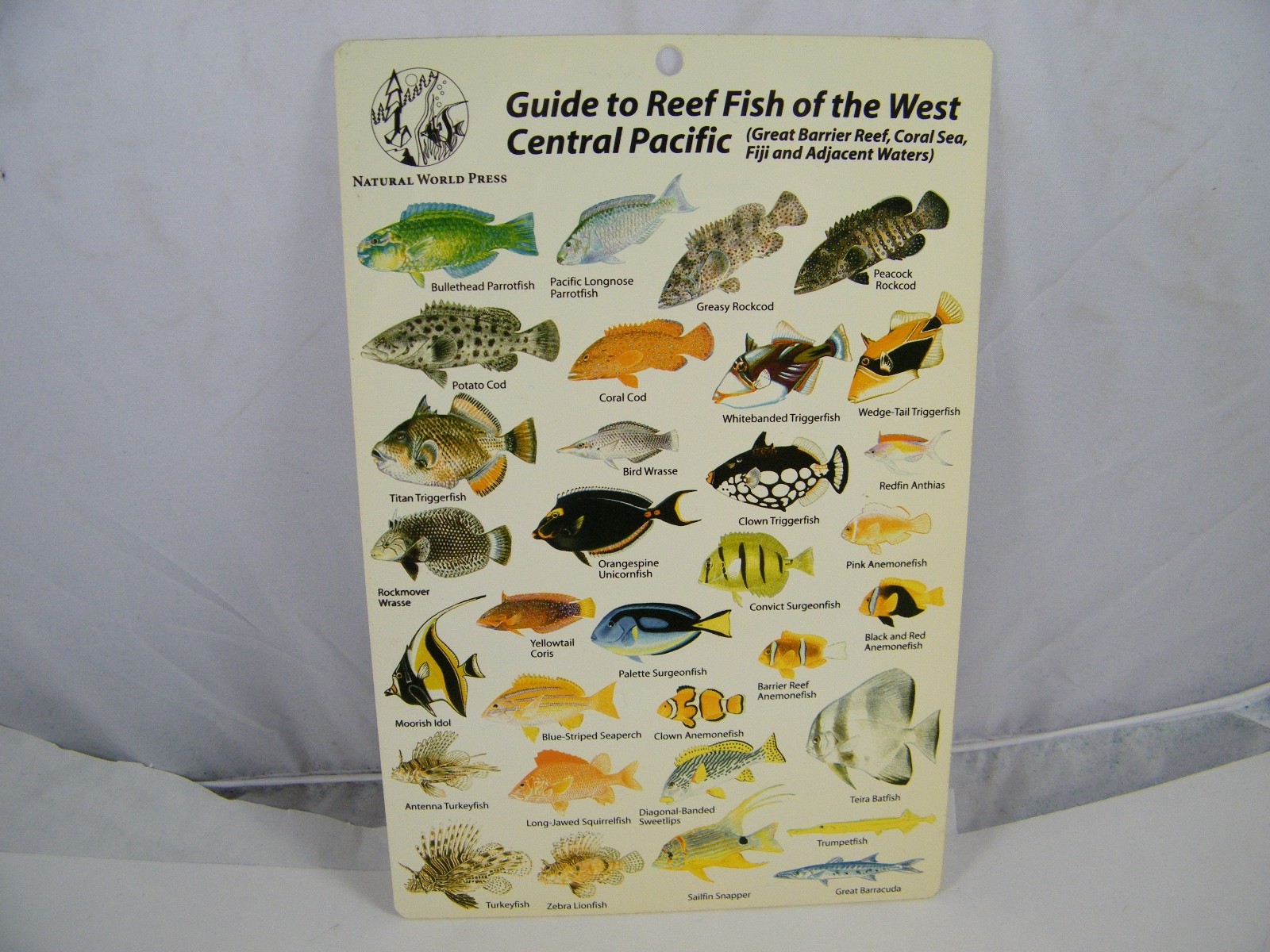 4 FISH GUIDE CARDS NETHERLANDS ANTILLES, MICRONESIA, W CENTRAL PACIFIC, PACIFIC