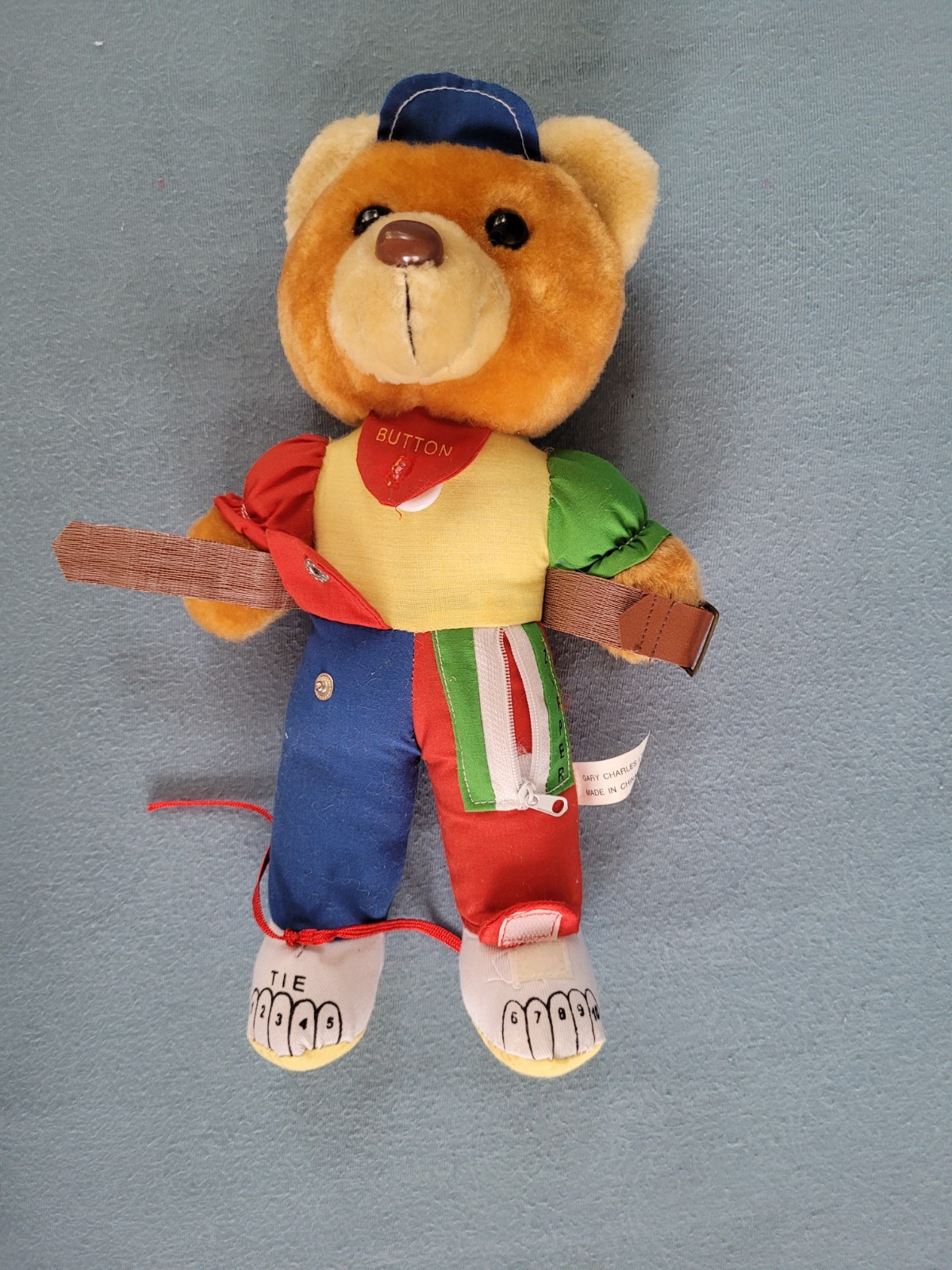 Teach Me Teddy Bear Plush Interactive Teaching Stuffed Animal 12″ Gary Charles