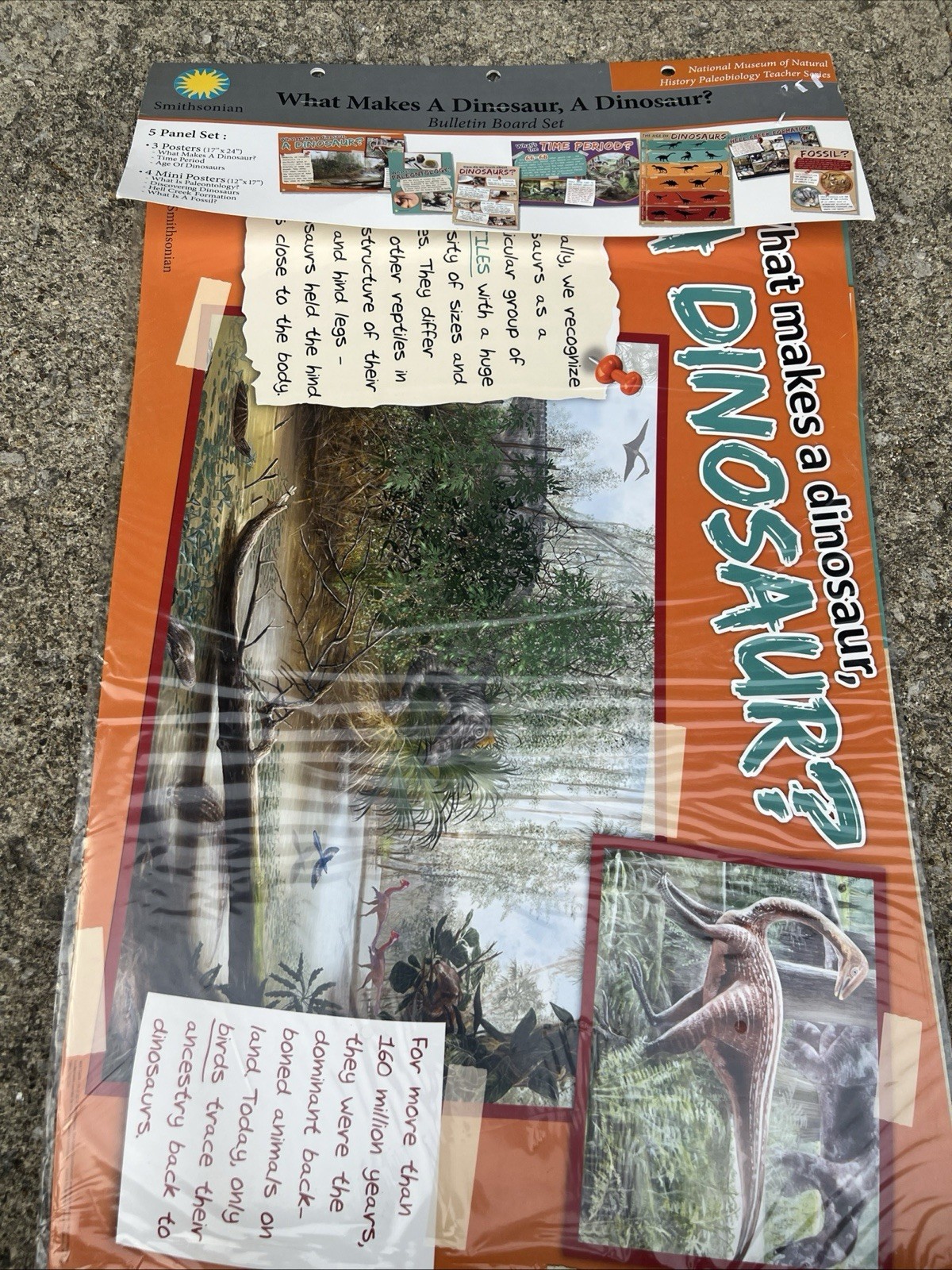 Eureka Smithsonian Triceratops Dinosaur Facts Bulletin Board Classroom Decor 6pc