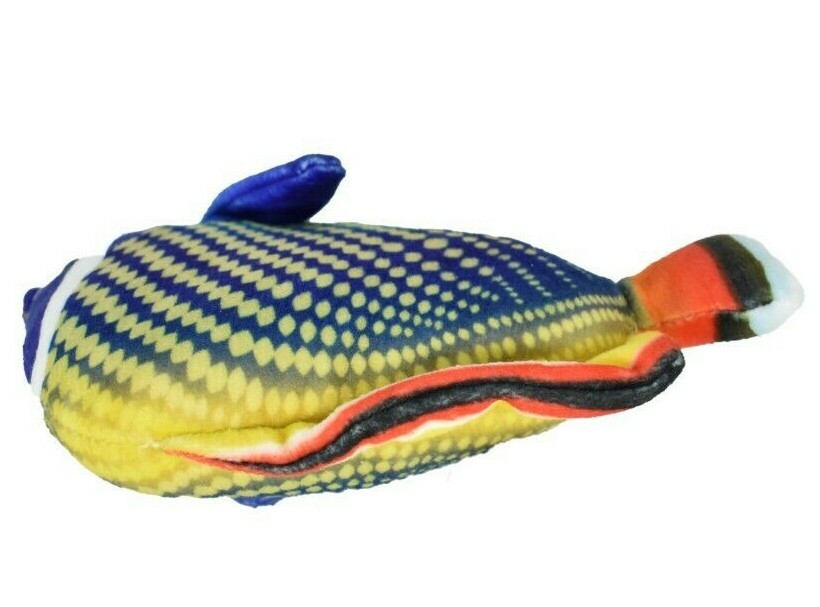 Butterfly Fish, Redtail,Tropical Fish Magnet, Soft Stuffed Fish Toy CWG34BB3