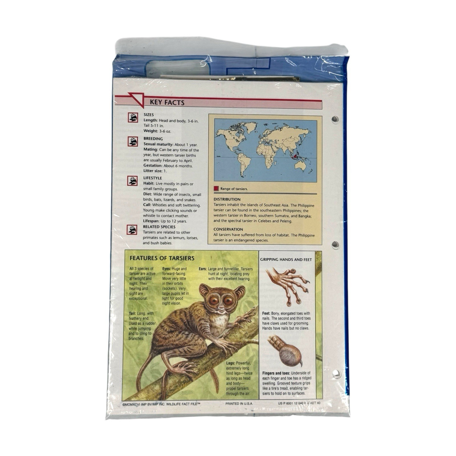 Vintage NOS Wildlife Fact File Binder + 13 Sealed Packs Of Cards