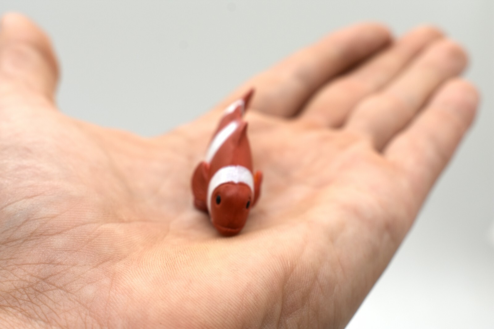 Clownfish, Reef Anemonefish, Rubber Fish Design, Realistic Figure, F1788B145