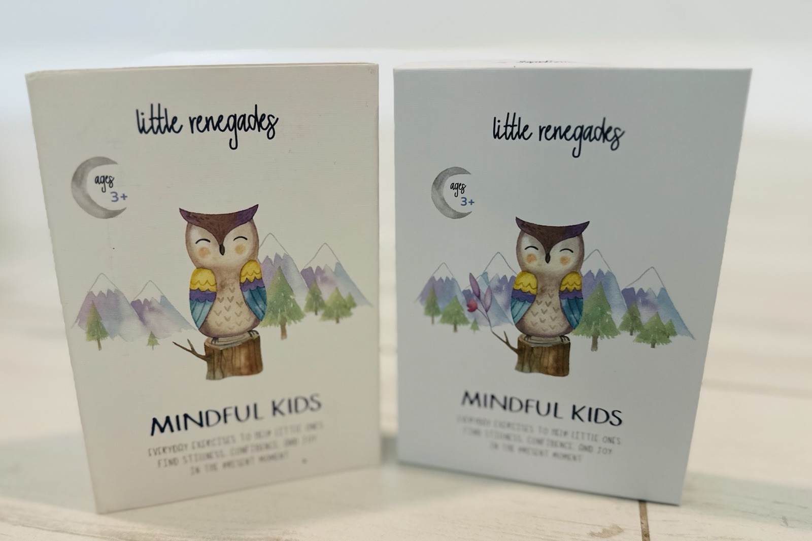 Little Renegades – Mindful Kids Cards, Easy Mindfulness Exercises for Children