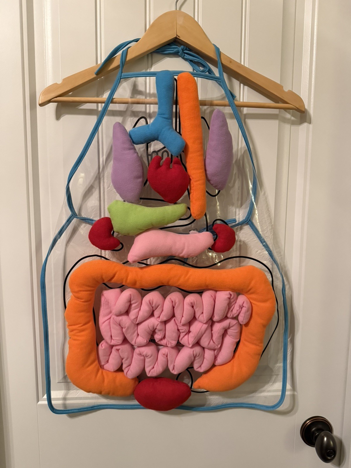 Vocheer 3-D Human Body Internal Organs Apron Learning Educational Toy