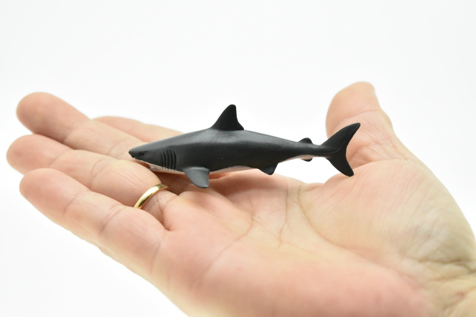 Great White Shark, Very Nice Plastic Replica 3″ – F1010 B118