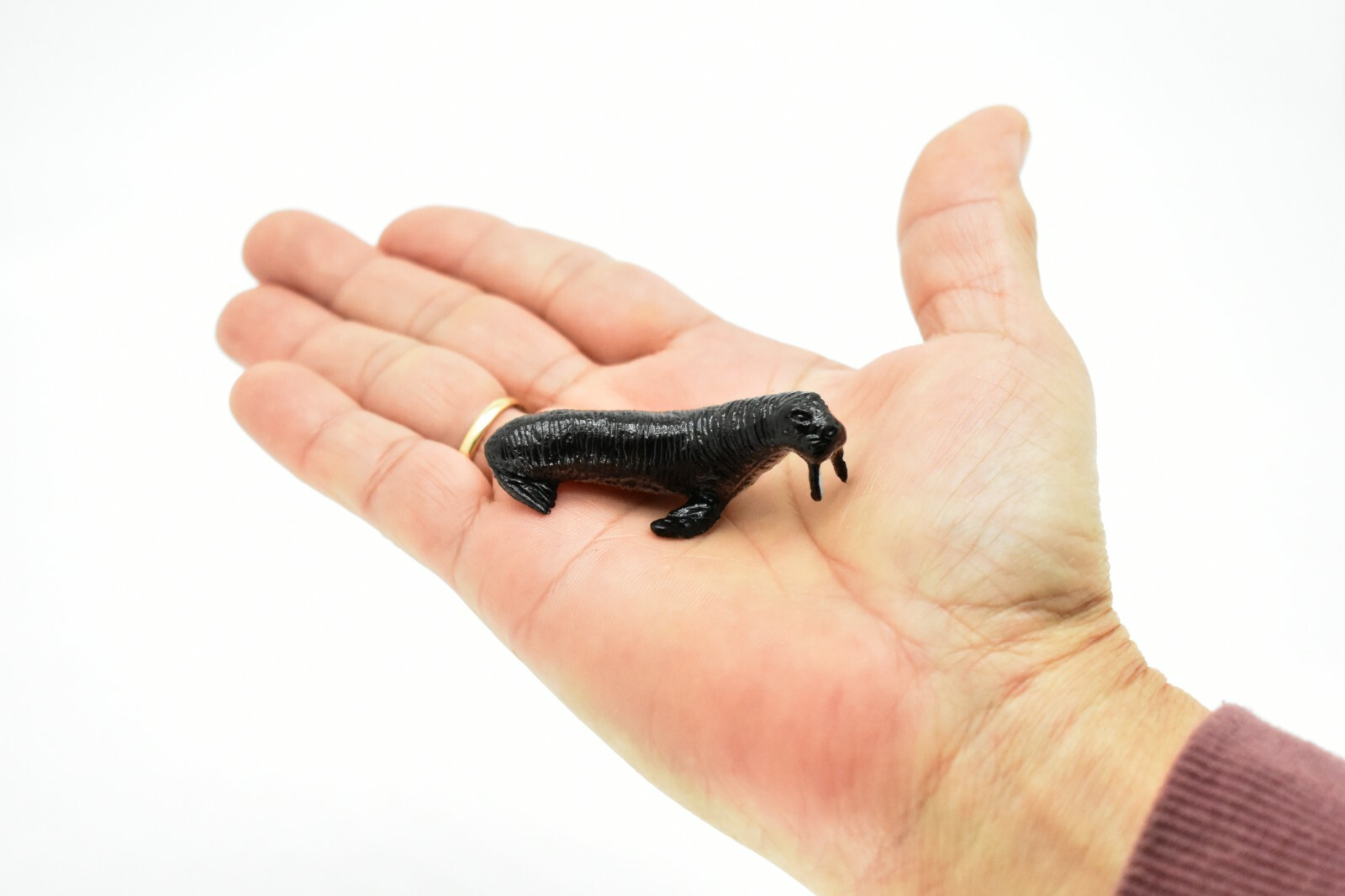 Walrus, Very Nice Plastic Replica 2″ ~ F0042-B123
