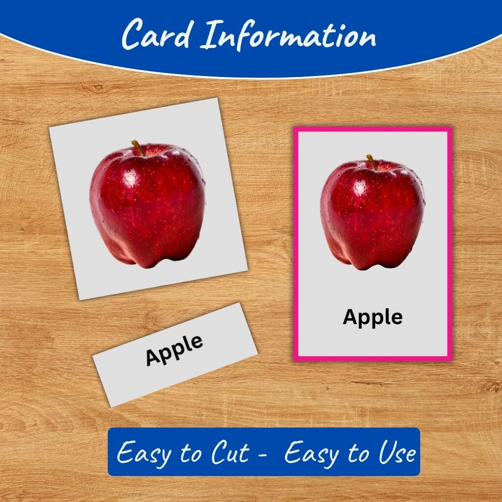 Printable Kids Flash Cards Bundle | Fruits, Vegetables, Animals, Birds, Fish