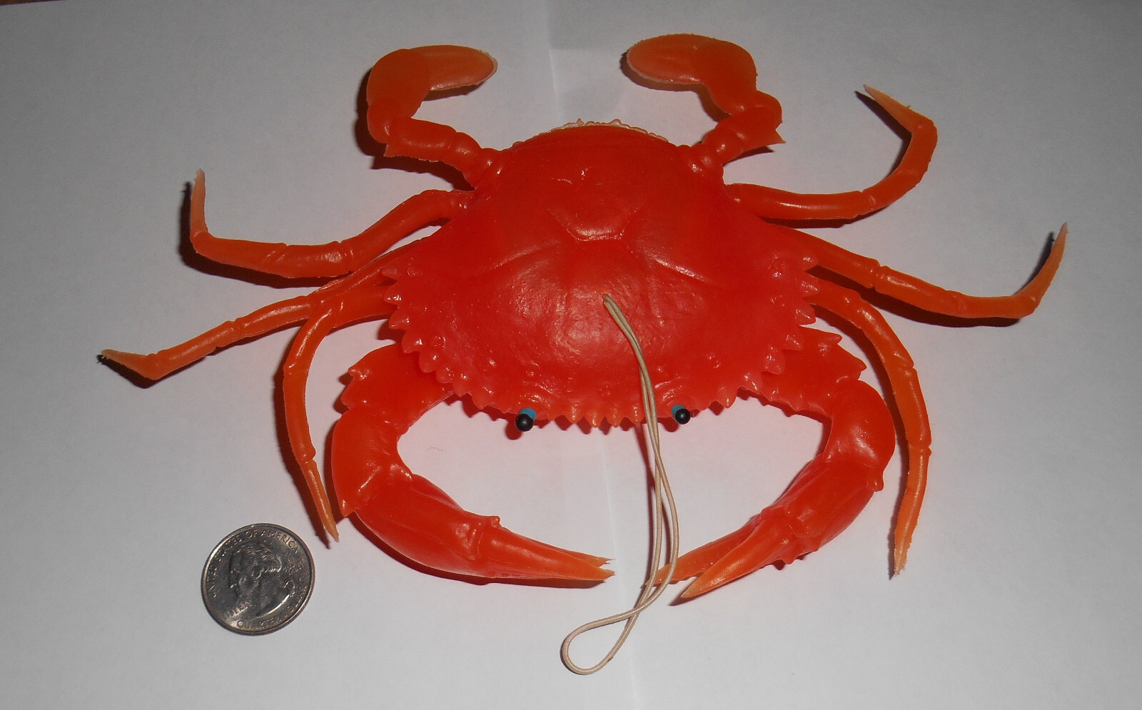 8″ Crab Orange Rubber Squeaking Dangler Jiggler Toy
