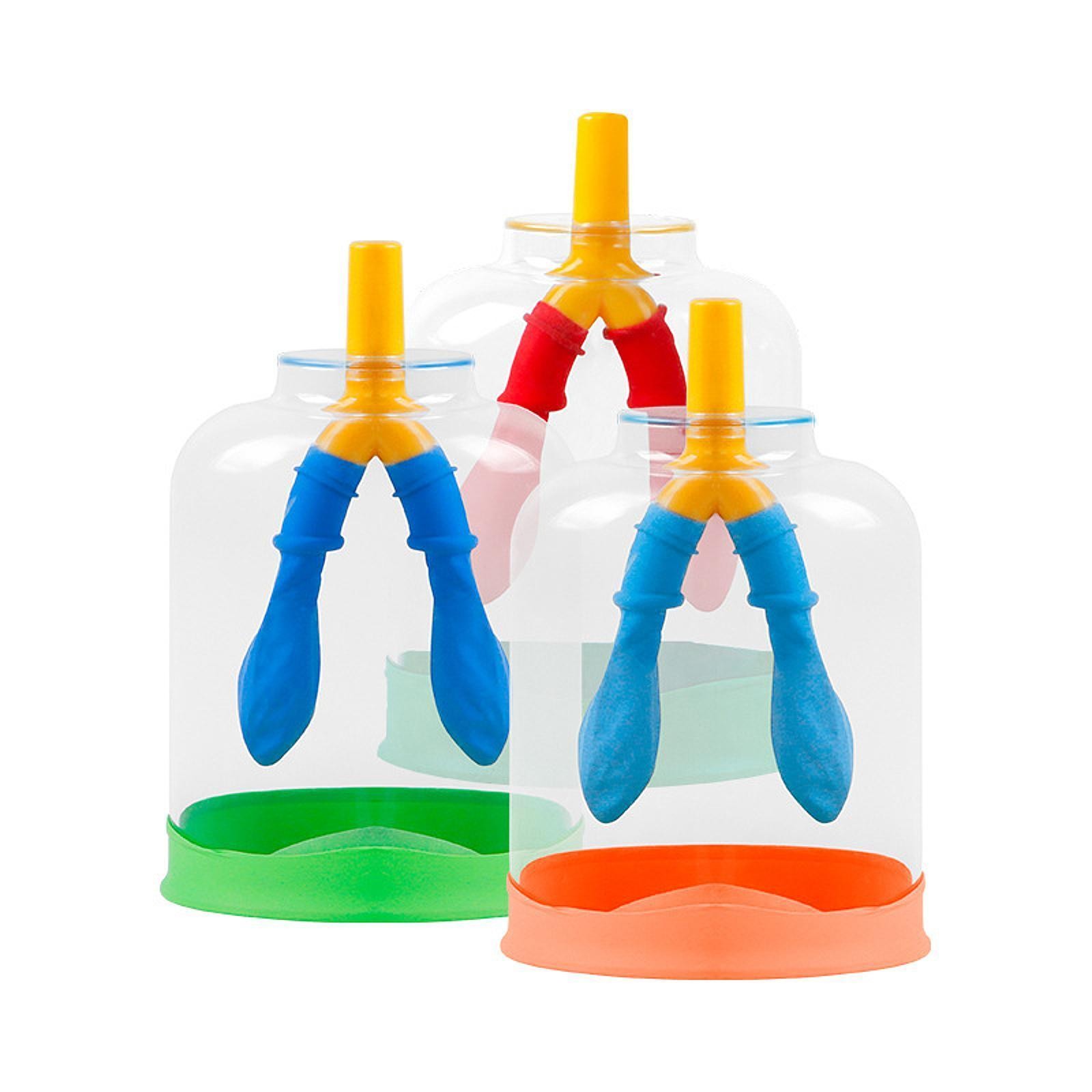 Lung Function Demonstration Model Lung Breathing Model Scientific Experiments
