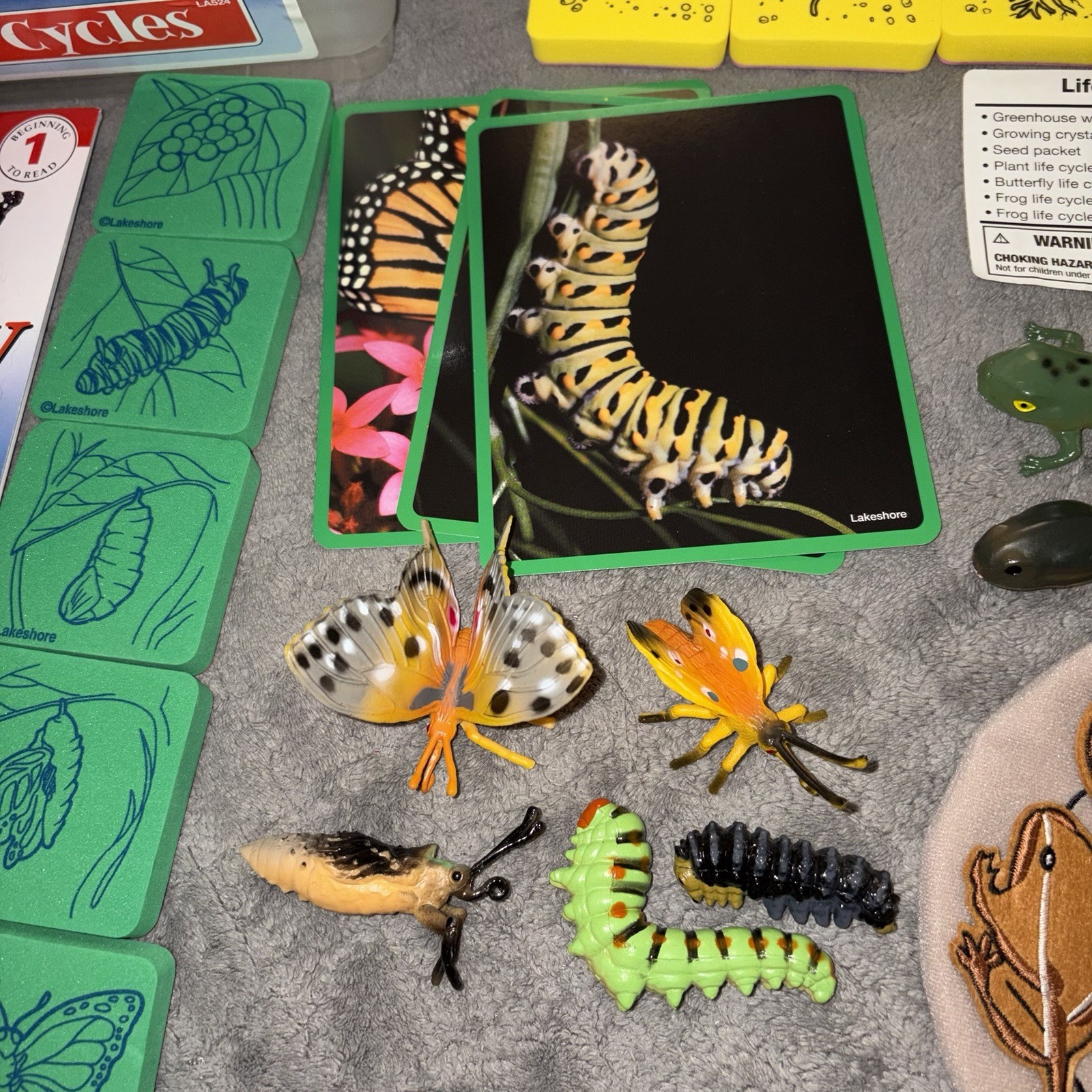 Lakeshore Life Cycles Biology Theme Box Butterfly Frog Greenhouse USA Animals