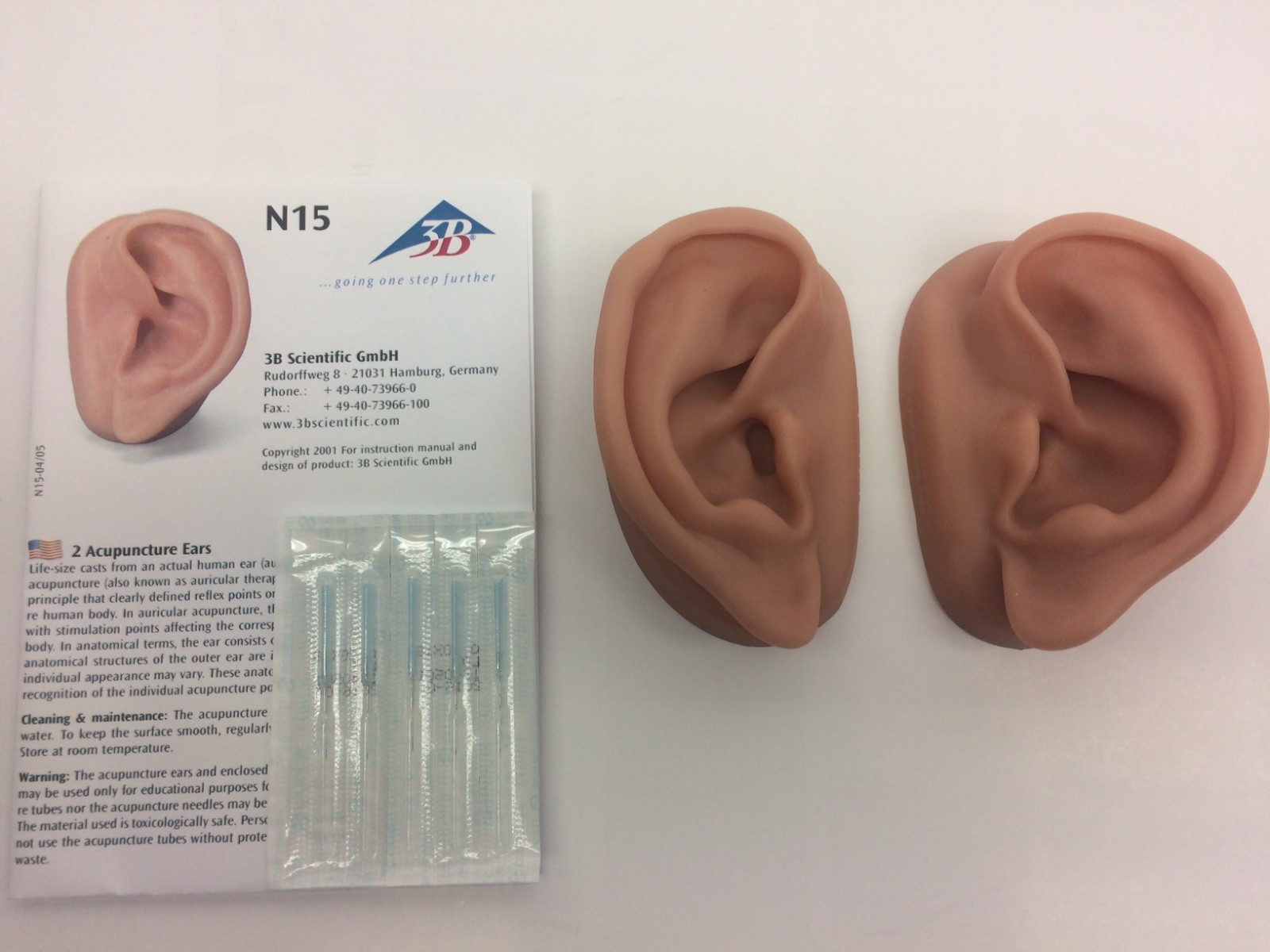 3B Scientific Acupuncture Ear Anatomy Learn Left & Right Set Skinlike Silicone