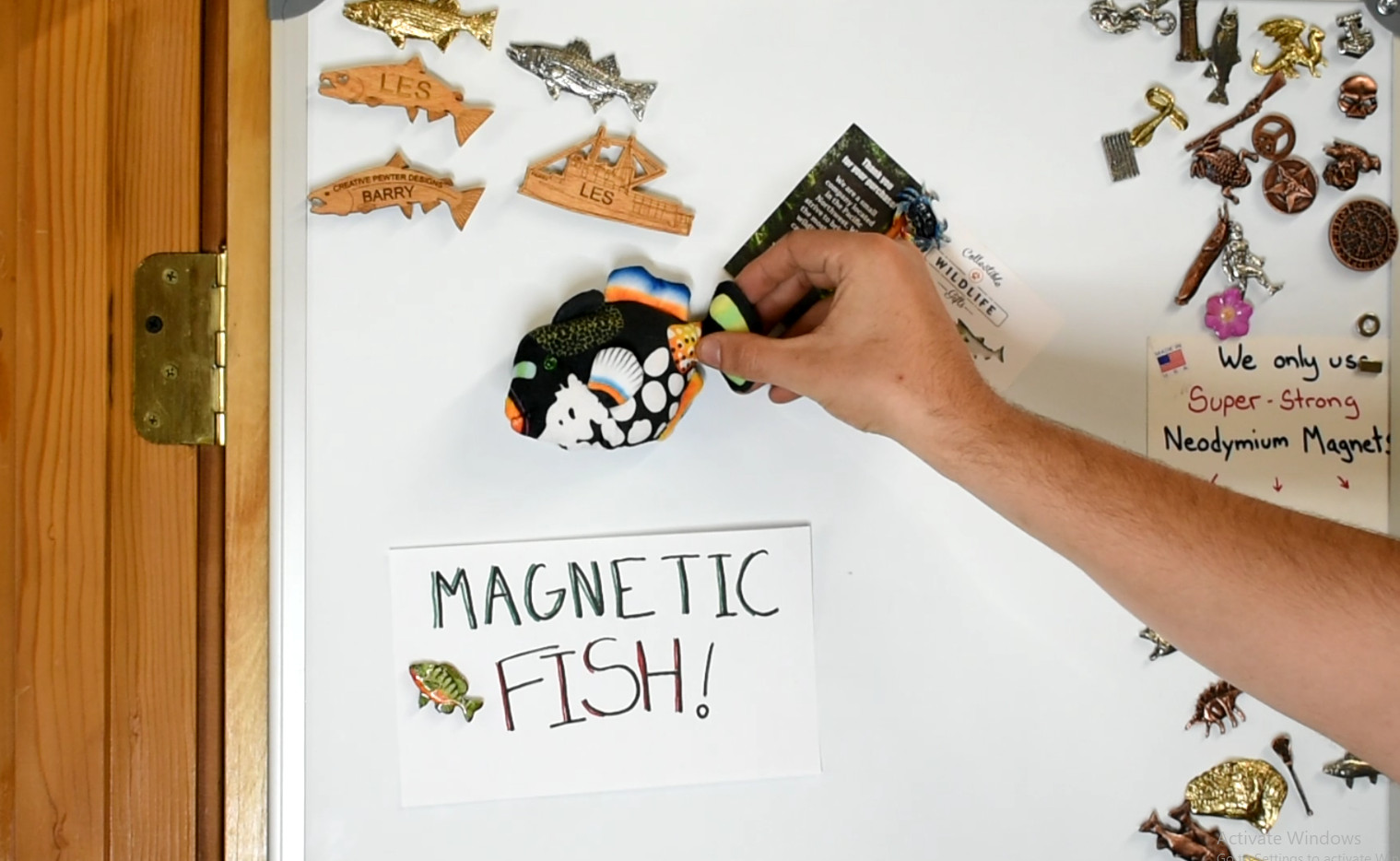 Triggerfish, Tropical Fish Magnet, Soft Stuffed Animal 5 1/2″ CWG32BB3