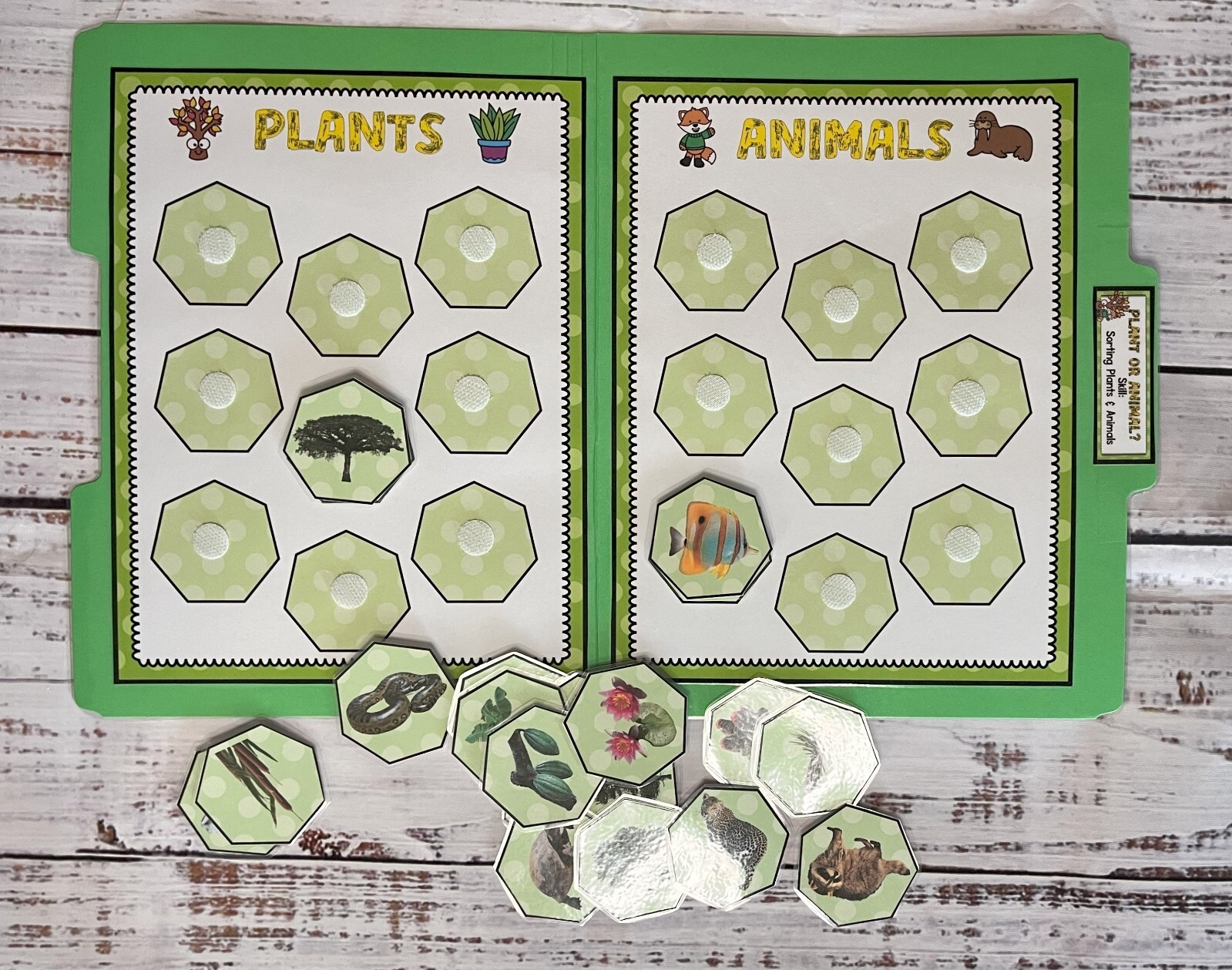 Plant or Animal Life Science File Folder Game Pre K Kindergarten First Grade