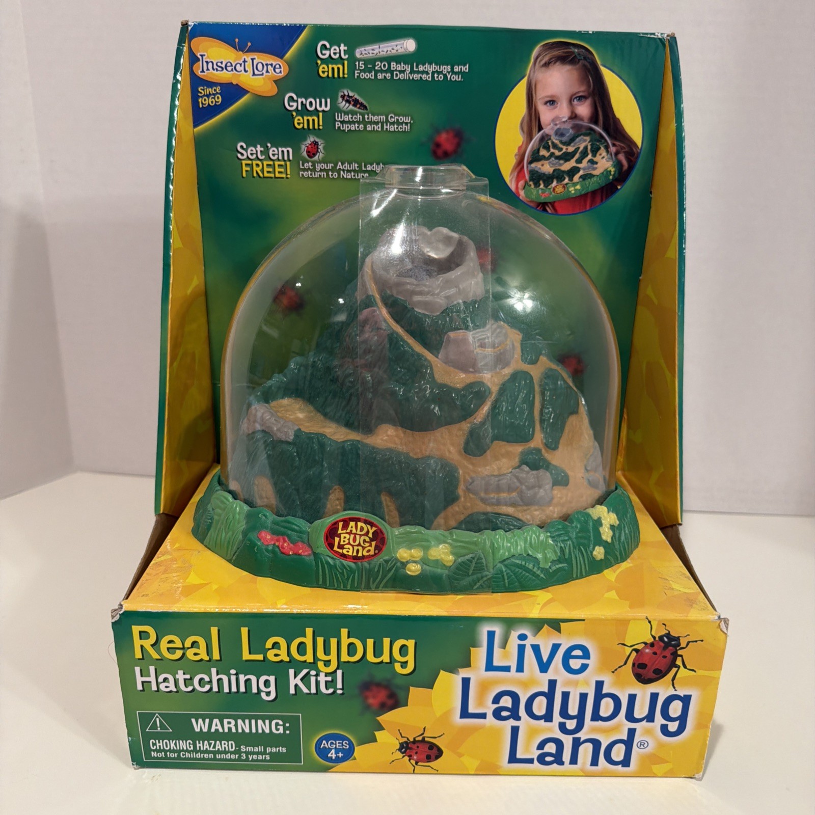 Insect Lore Real Ladybug Hatching Kit Live Ladybug Land 2100