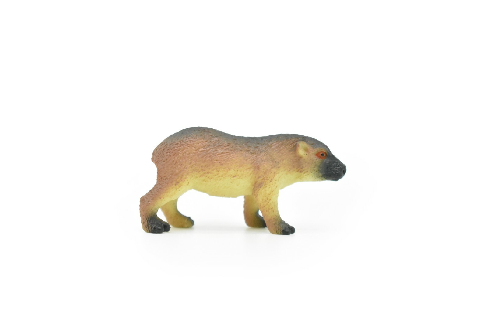 Capybara, Very Nice Plastic Animal, 2 1/2″ CWG104 B237