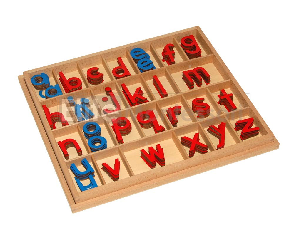 Elite Montessori Wooden Movable Alphabet with Box Preschool Spelling Learning Ma