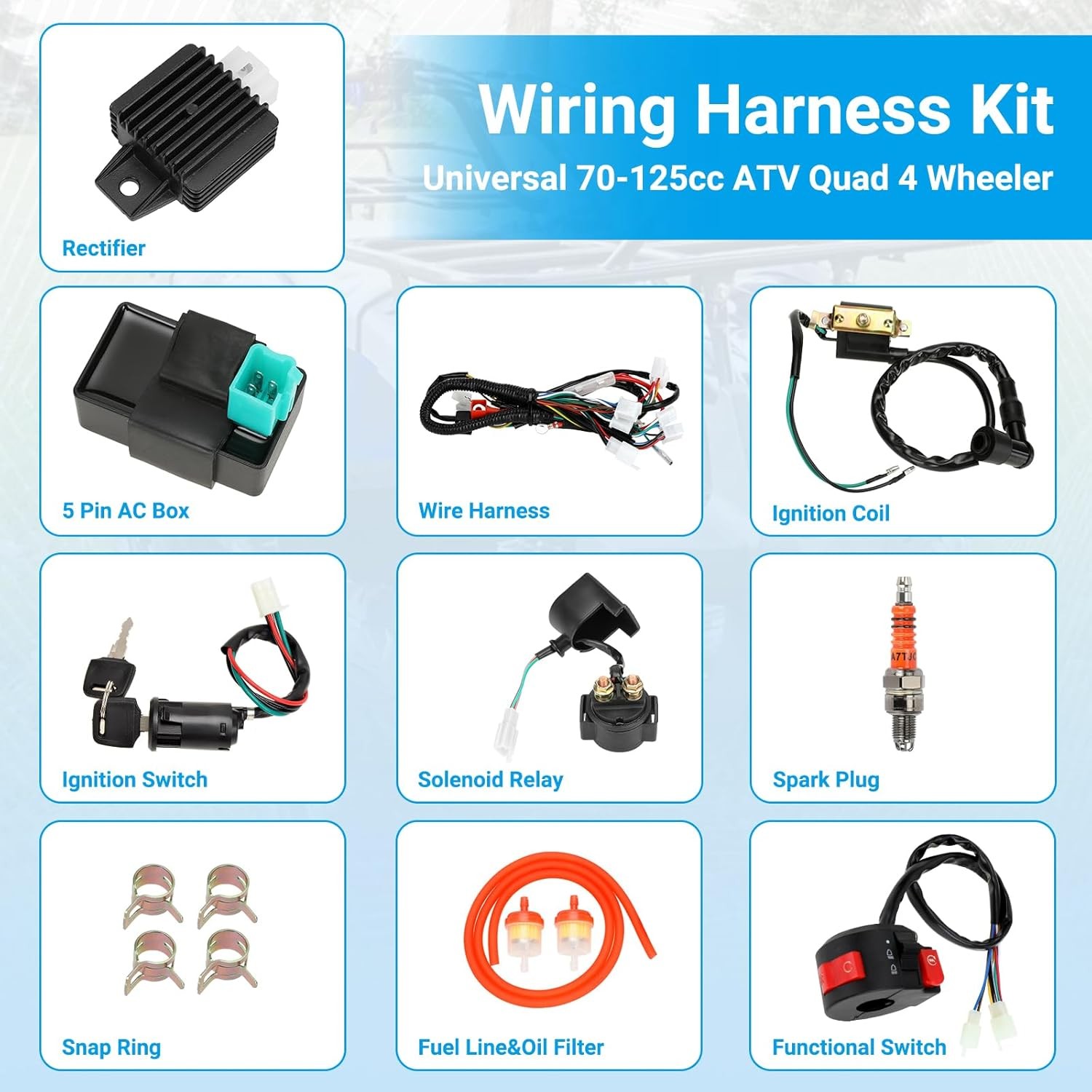Electric Wiring Harness Kit Compatible with Taotao Coolster 110Cc 125Cc