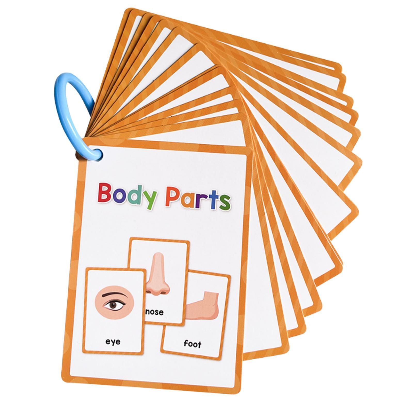 Body Parts Flash Cards, Learning Cards 15Pcs Easy to Carry Cognitive Flashcards
