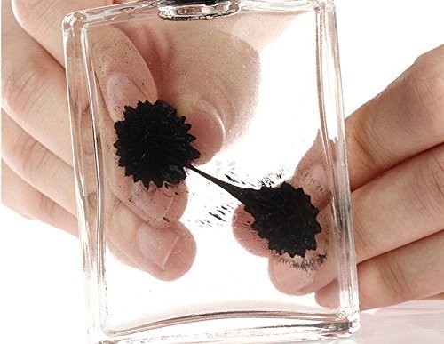 Ferrofluid Magnetic Display Bottle – Science Desk Toy, Magnetism Liquid Kit