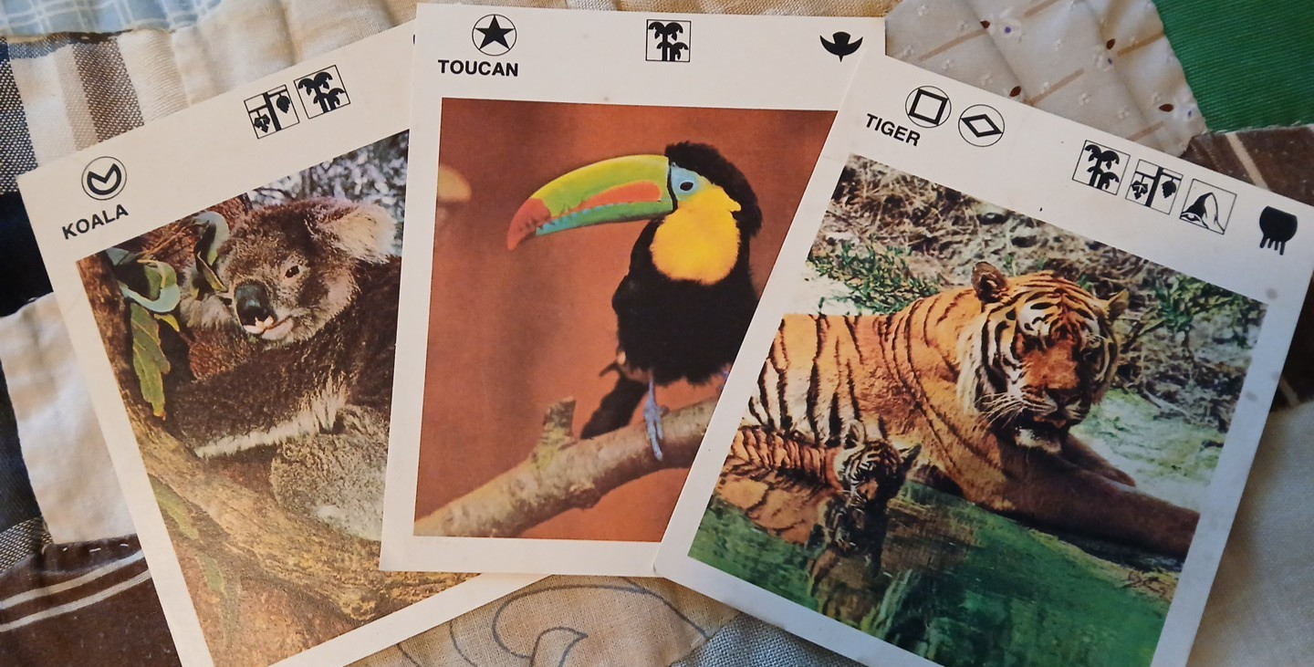 Animal Fact Cards KOALA-TOUCAN-TIGER-Leisure Books LTD 1975/1986 Flash Cards