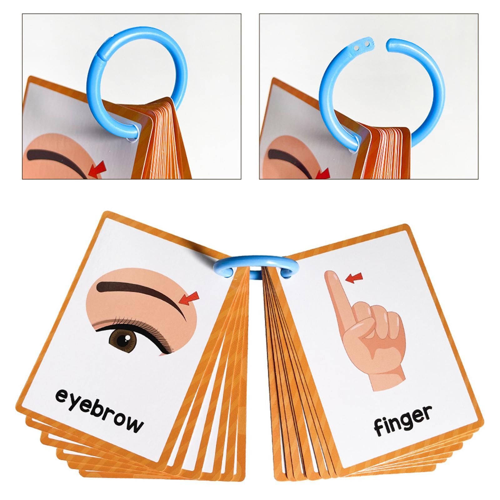 Body Parts Flash Cards, Learning Cards 15Pcs Easy to Carry Cognitive Flashcards