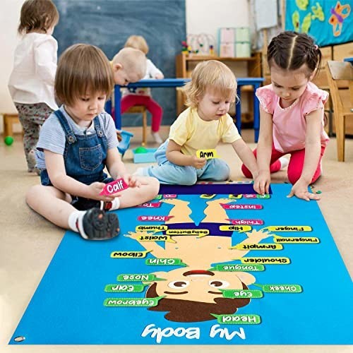35Pcs Felt Body Parts Learning Set – Educational Storyboard for Kids, Interactiv