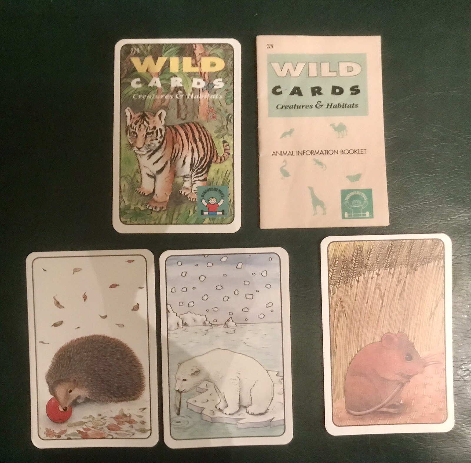 FAMILY FUN TRAVEL CARD GAMES: ROOK, QUIDDLER, ANIMAL WILD CARDS, MUSIC & MATH