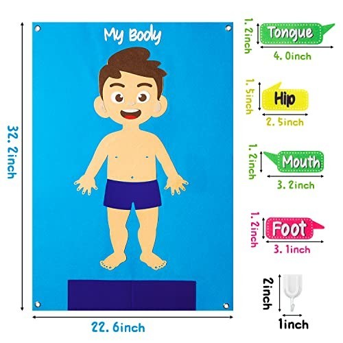 35Pcs Felt Body Parts Learning Set – Educational Storyboard for Kids, Interactiv