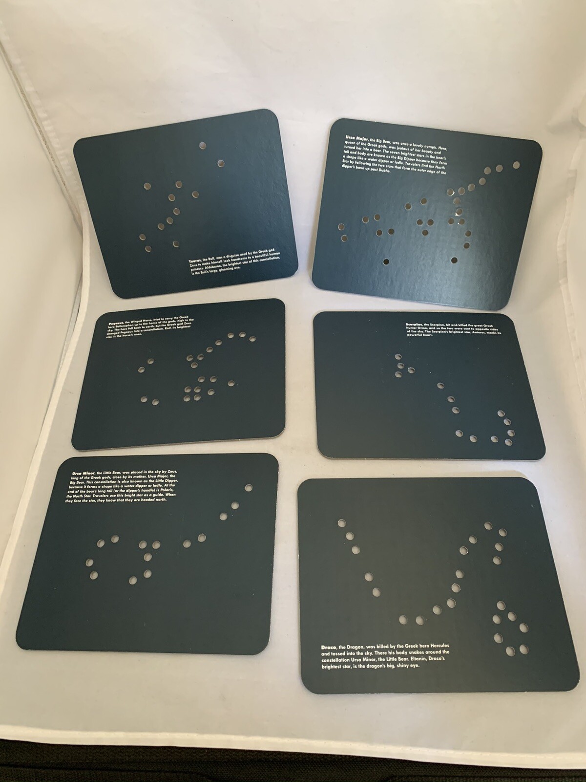 ANIMALS IN THE STARS LACING CARDS / glow in the dark / Chronicle Books I1