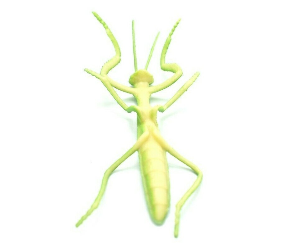 Praying Mantis, Rubber Insect, Toy, Realistic Figure, Model, Kids Gift 4″ F1053