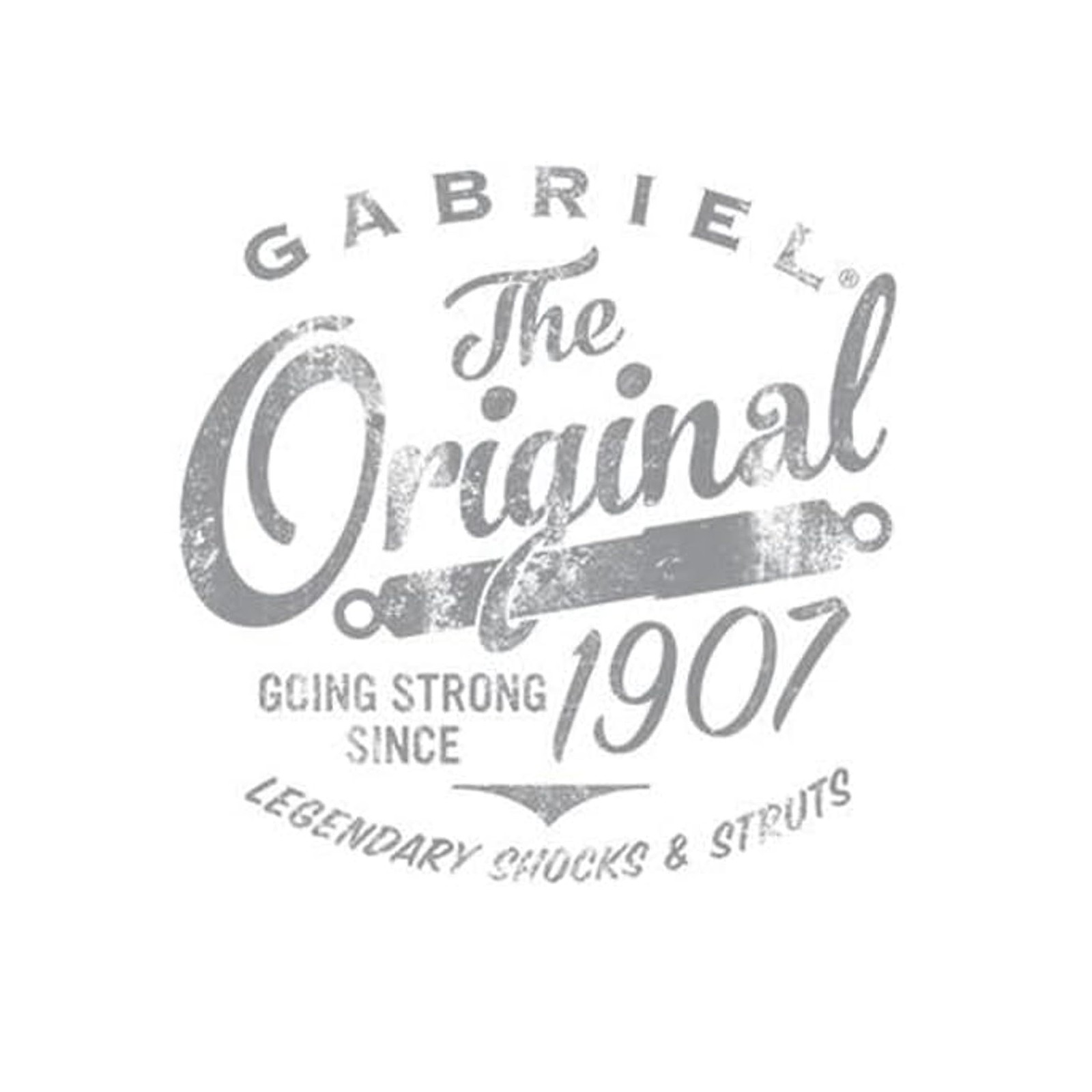 Gabriel 141099 Air Hose Kit (1 Pack)