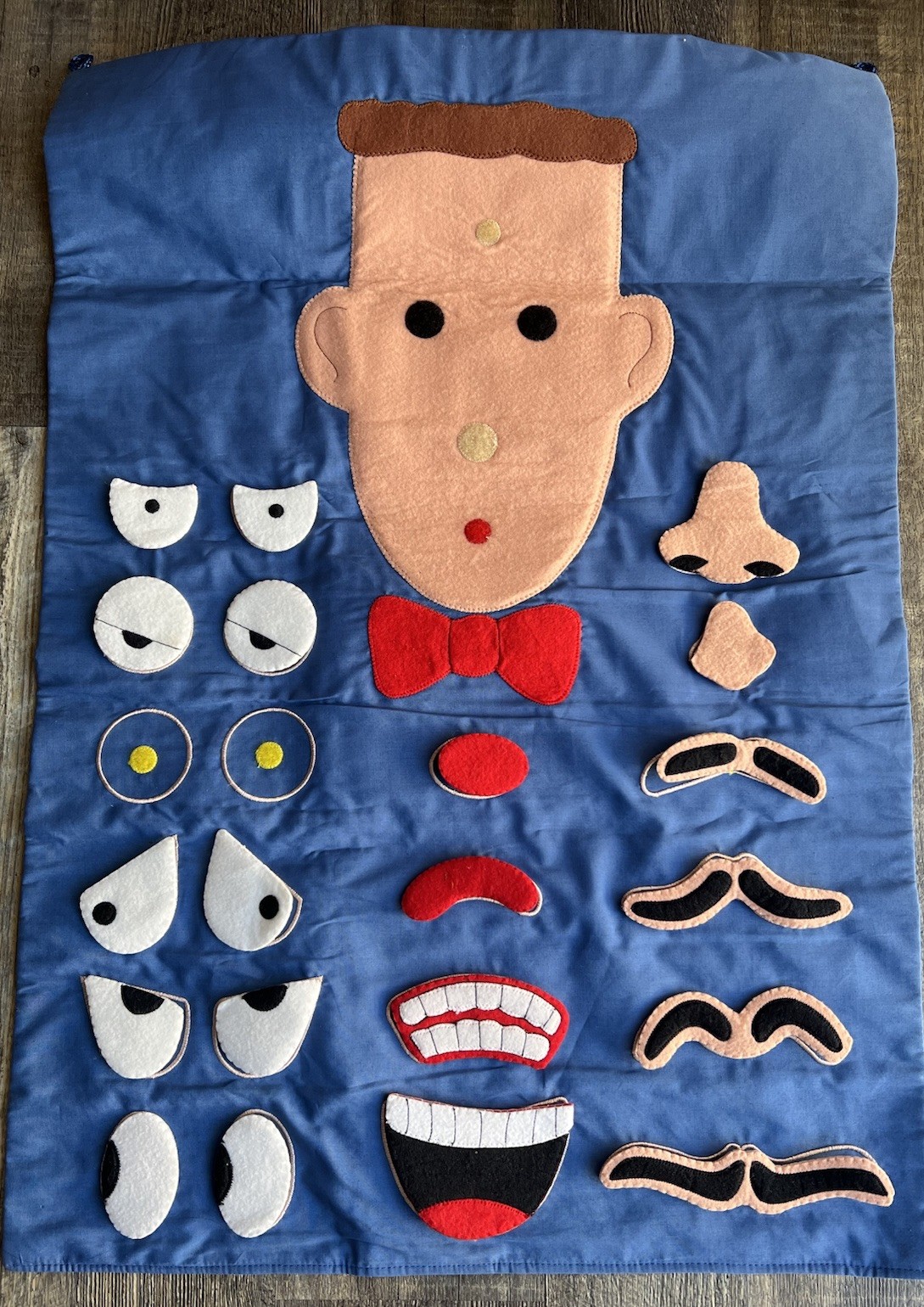 Story Time MR. FACE Hanging Felt WALL CHART Facial Emotions Activity
