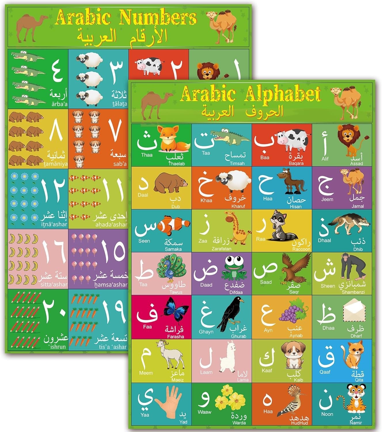 Colorful Arabic Alphabet Learning Poster for Toddlers – Perfect Classroom Decor