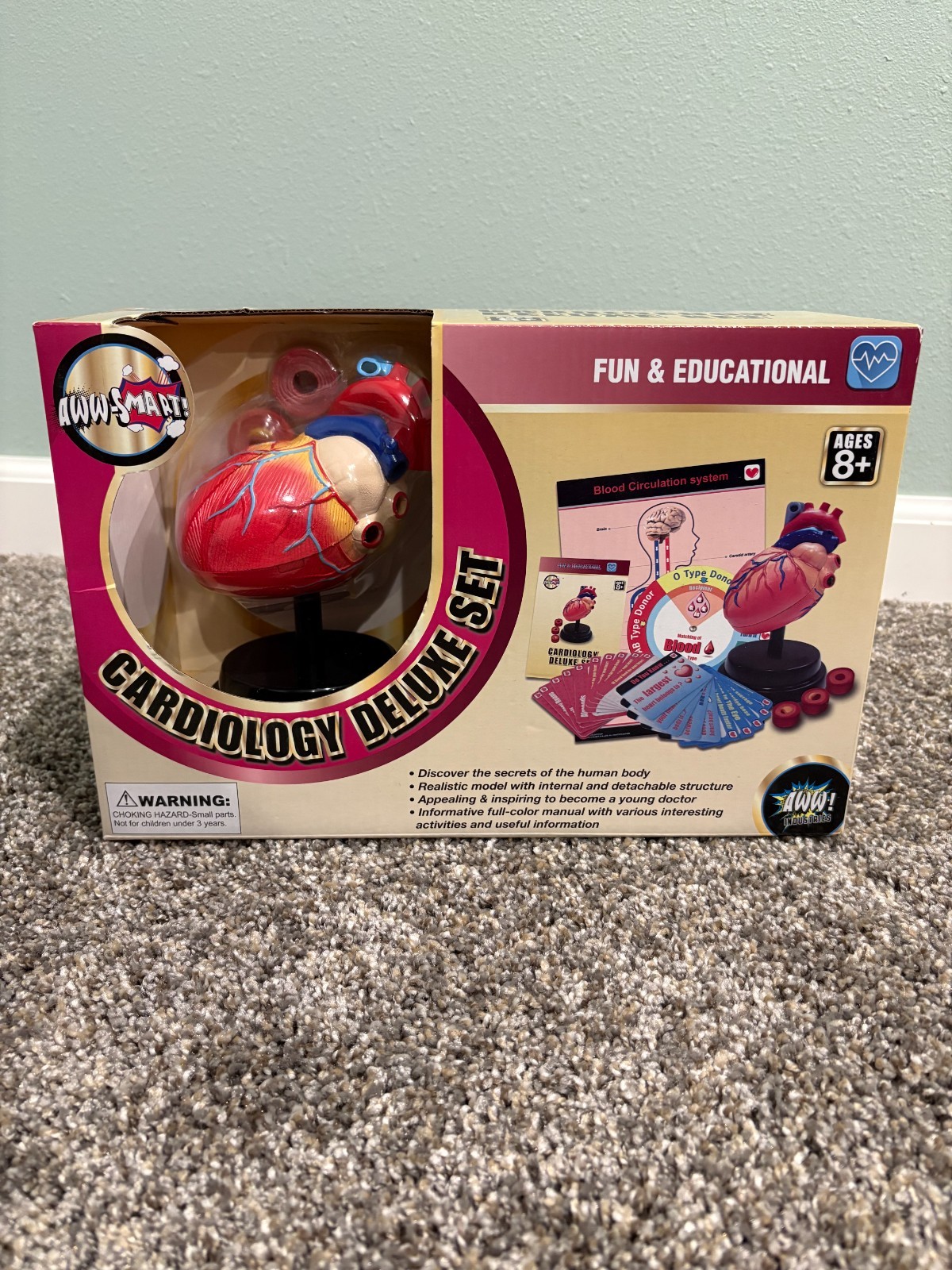 Aww-Smart Fun And Educational Sets