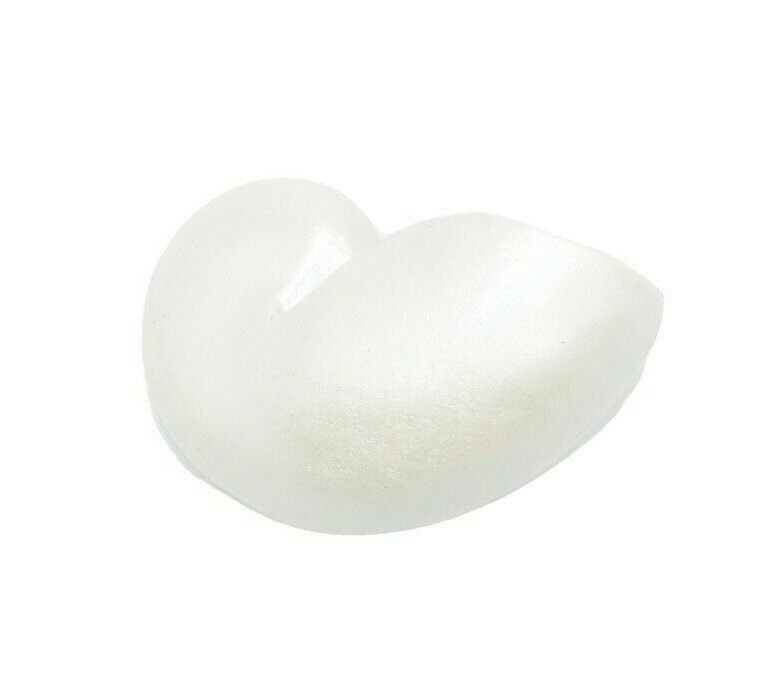 Nautilus Shell, Seashell, Ocean, Toy, Model, Gift, 2″ F4113 B96