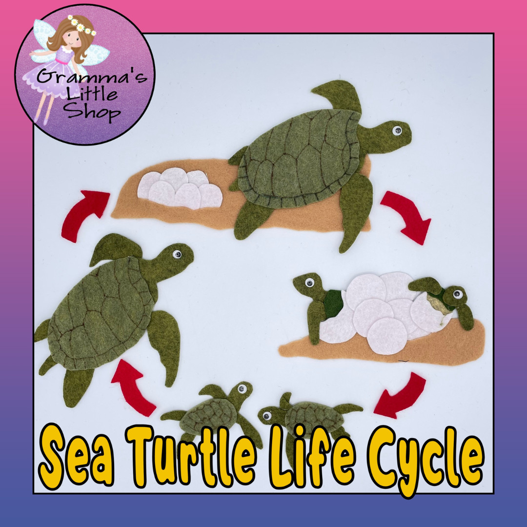 Sea Turtle Lifecycle Felt Set for Felt or Flannel Board Play