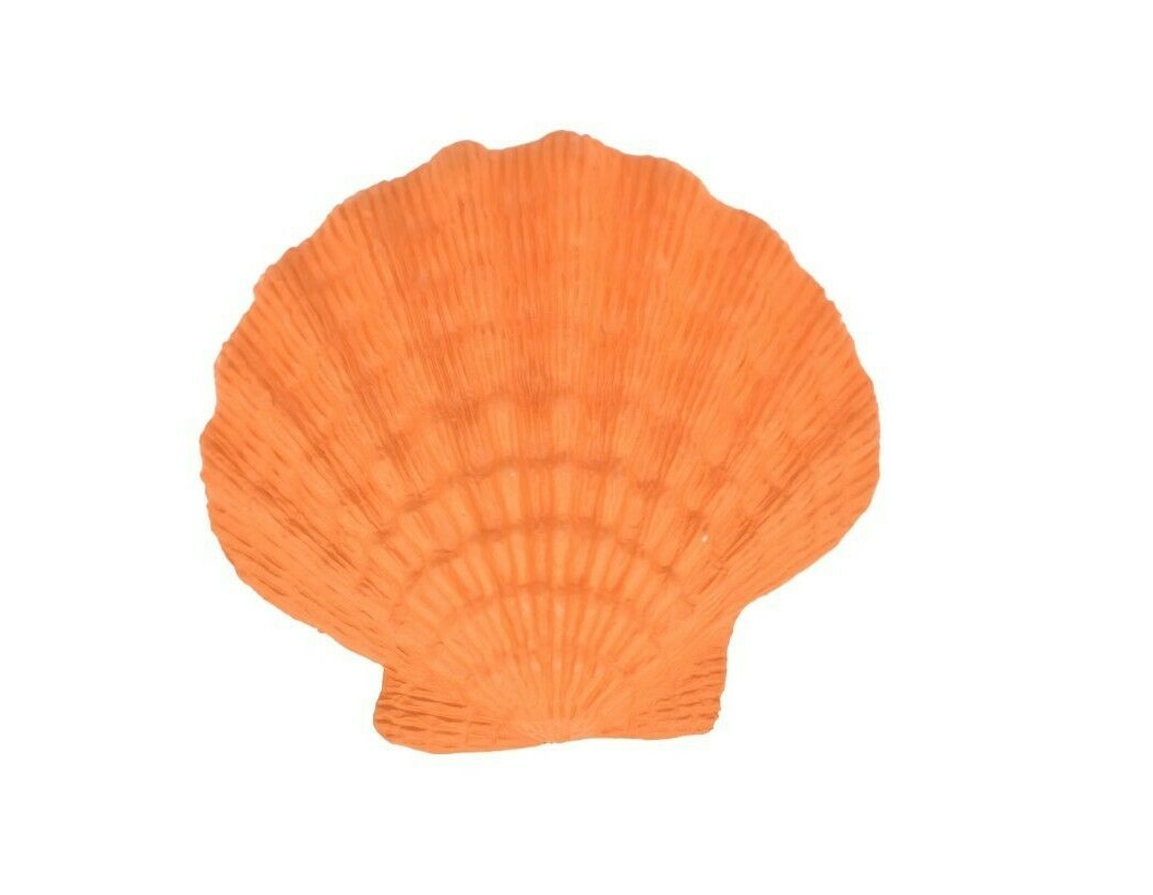 Lion’s Paw Scallop Shell Plastic Replica Orange 1 7/8 inches wide – F4115 B96