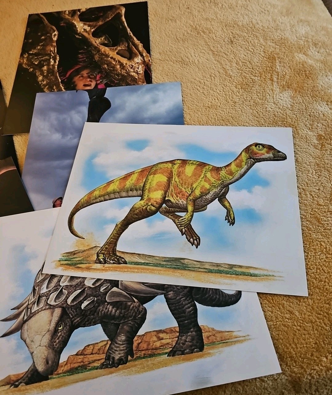 Dinosaur Learning Cards Large Vintage Glossy 8.5″x 11″ Lot (15) Silver Burrdett