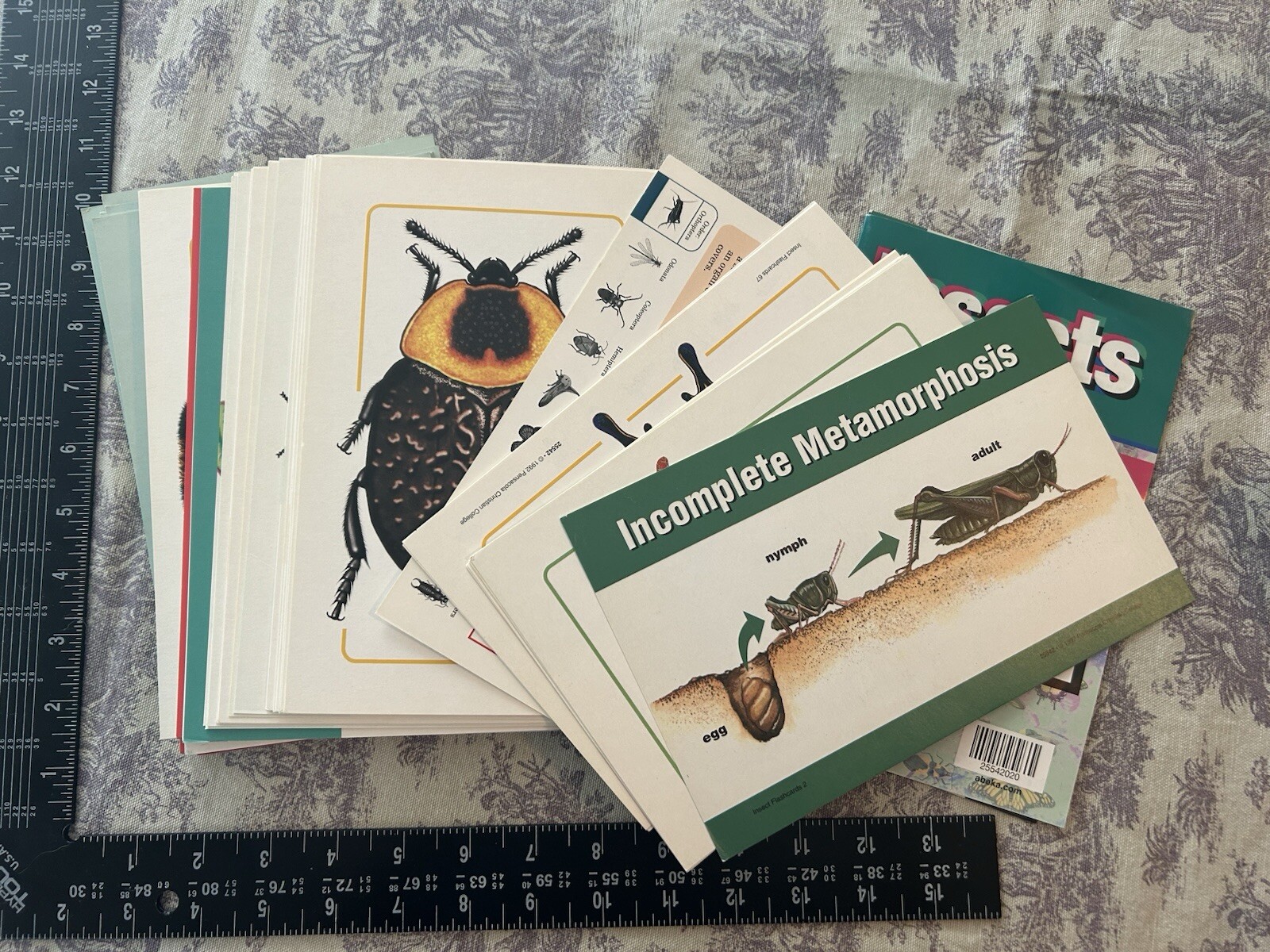 HUGE LOT A Beka Flashcards Multiplication Division Insects Flowers One-Vowel