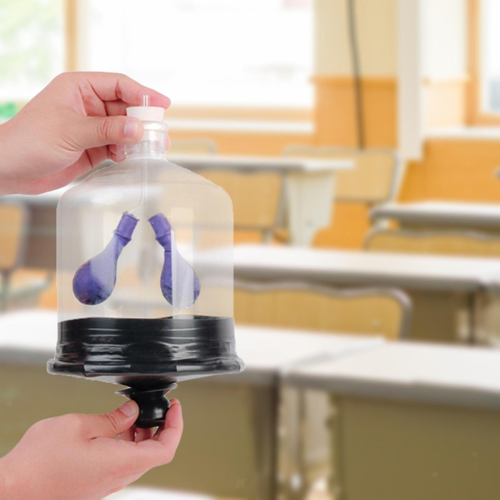 Lung Demonstration Model Lung Breathing Model DIY Projects Experiment Teaching