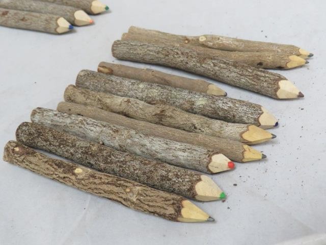 (12) Real Bark Wooden 6″ Colored Color Pencils Set – Assorted-Stick Twig (VG)