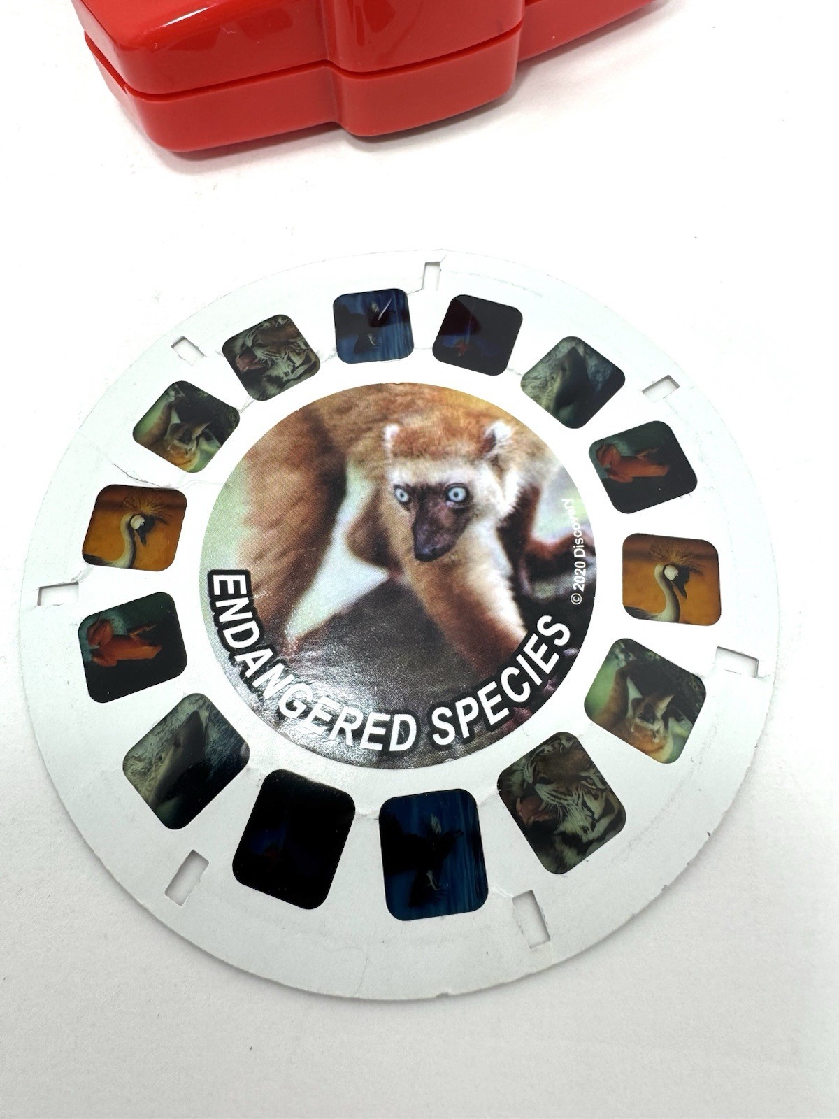 digimon view master 3D reels fox kids vintage new/sealed W/ Others