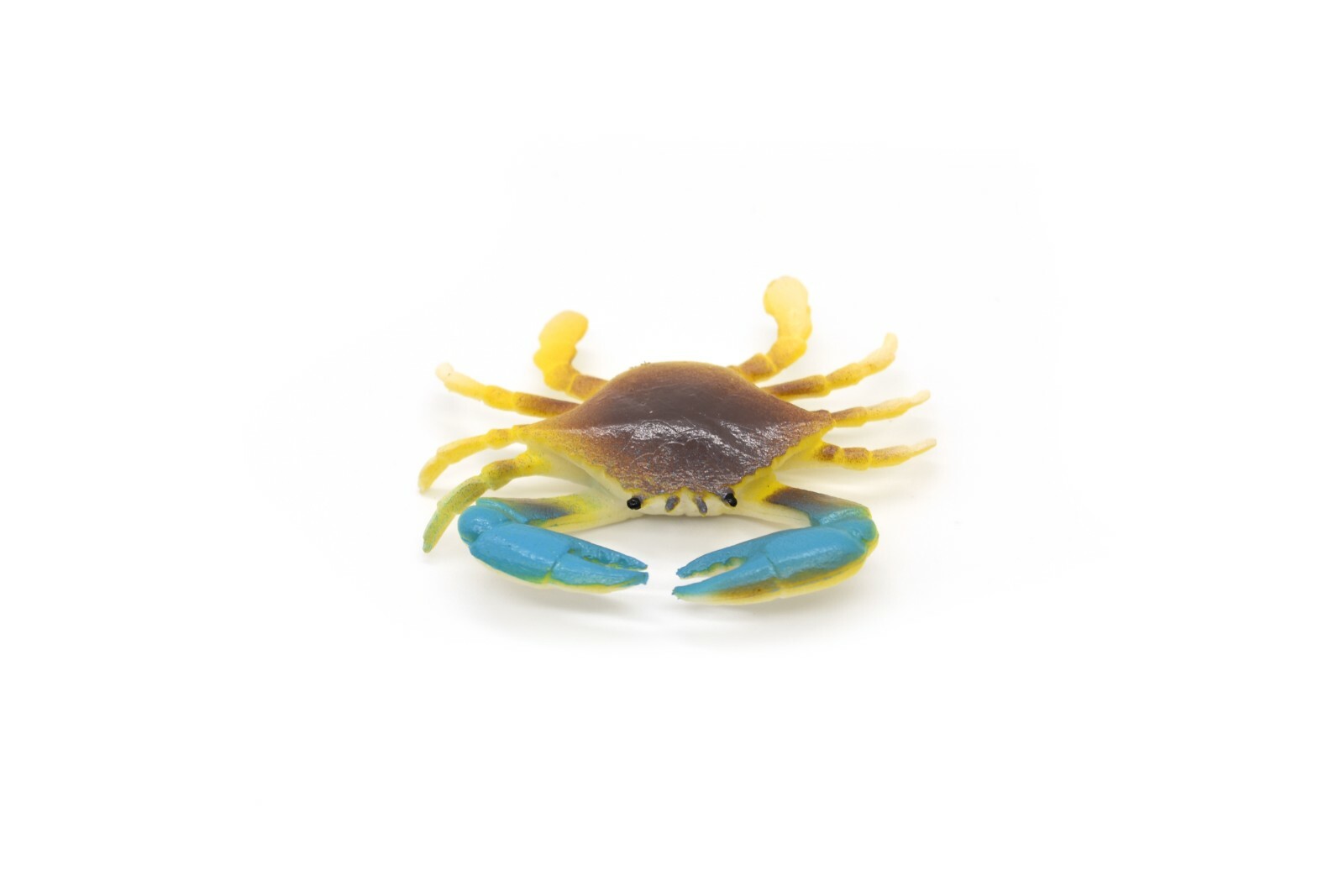 Blue Crab Realistic toy, Hand Painted, Figure, Lifelike, 2″ F937 B157