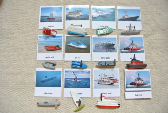 Montessori In the Water 3-Part Cards with Miniatures