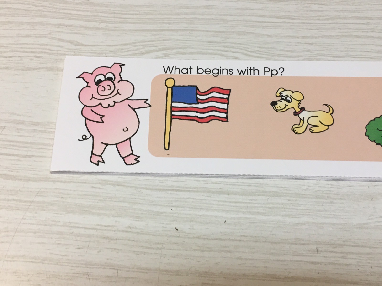 Phonics Pp – What Begins With Pp – Laminated Activity Set – Teaching Supplies