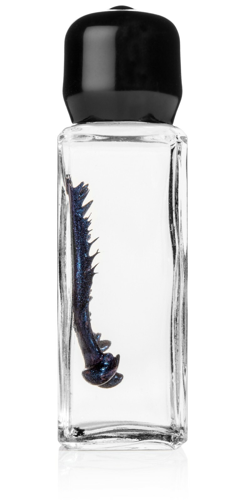 Colorful Blue Ferrofluid in a Bottle (15 mL)